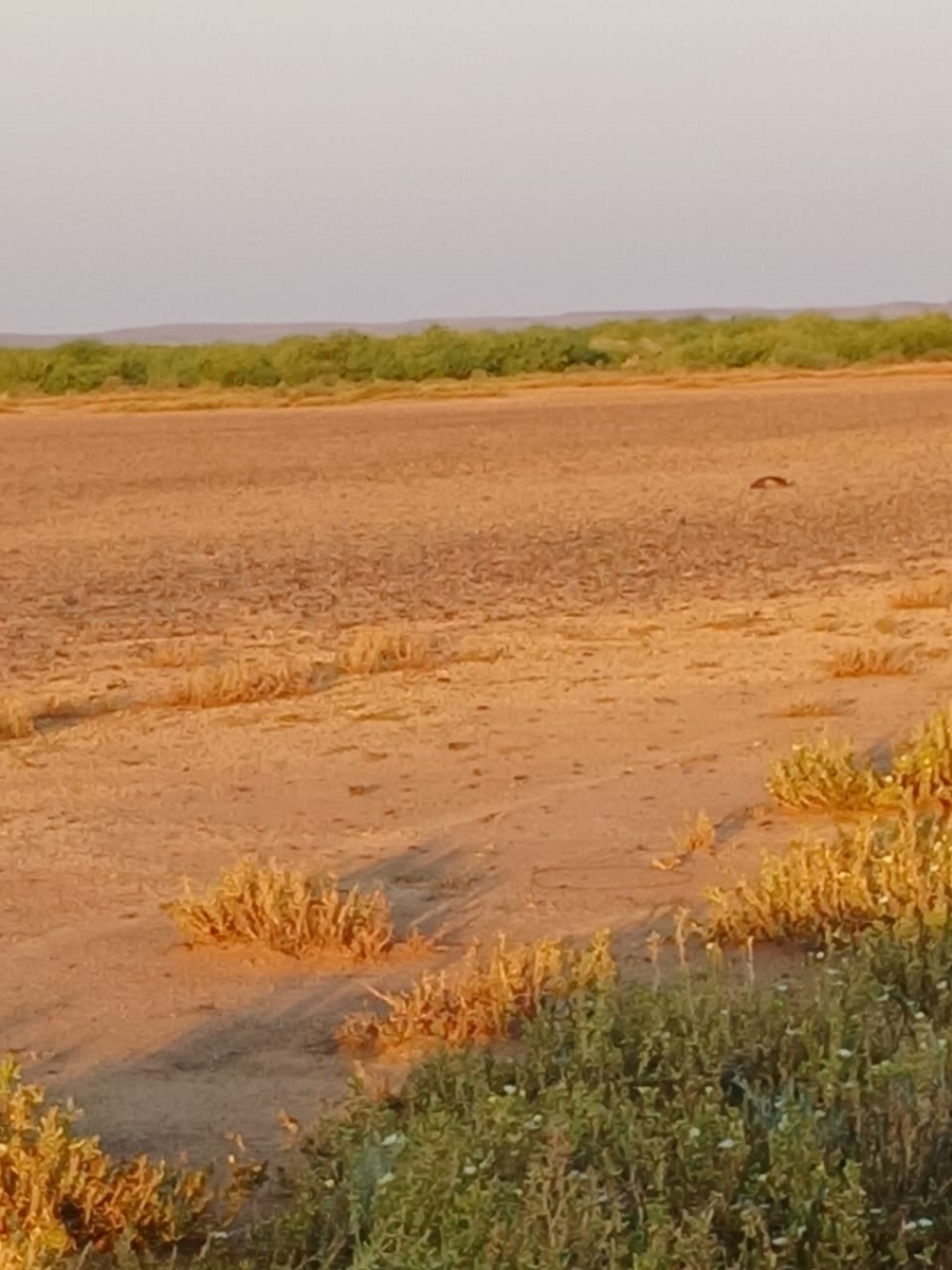 Commercial Property for Sale in Vanwyksvlei Northern Cape